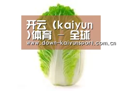 产品名称一