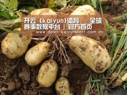 种植基地六