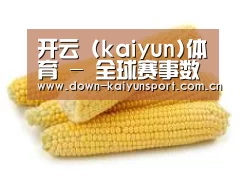 产品名称五
