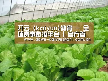 种植基地一